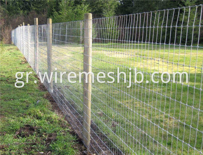 Cattle Fence Net